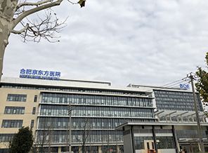 合肥京东方医院